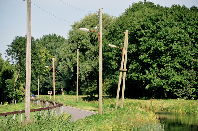 Leccy poles