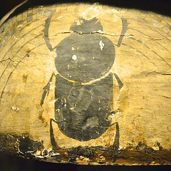 Museum of Antiquities – Scarabee on a mummy