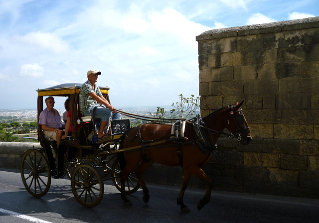 Horse and Carriage