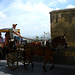 Horse and Carriage