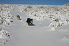 Jill and Jack in the snow