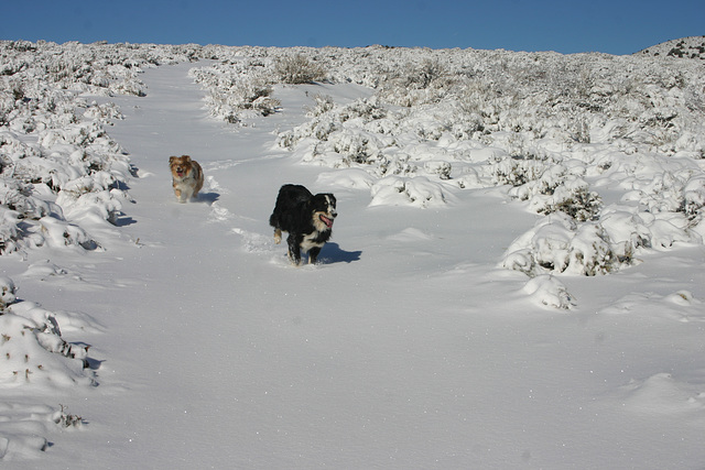 Jill and Jack in the snow