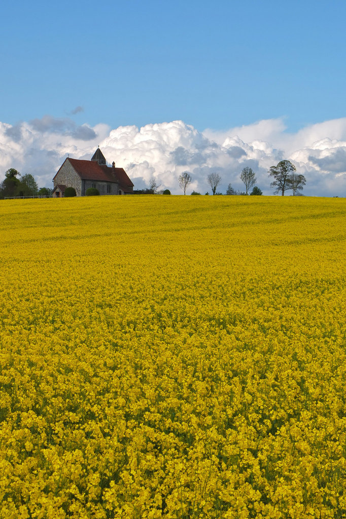 A Fuji view of St Hubert's, Idsworth