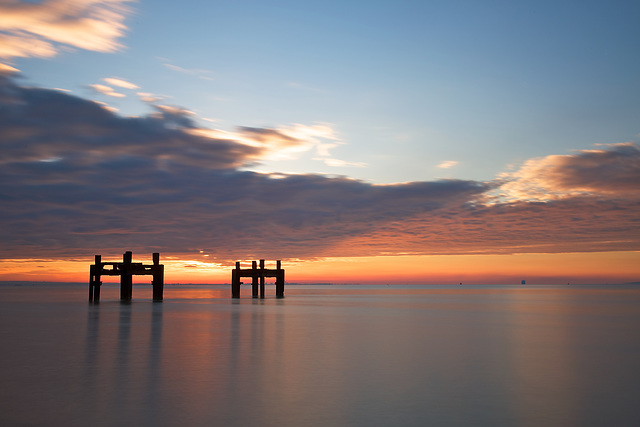 Lepe Dolphins sunrise 2