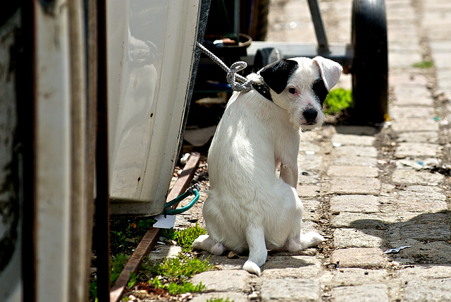 "I'd love to come and play - but I'm tied up at the moment!"