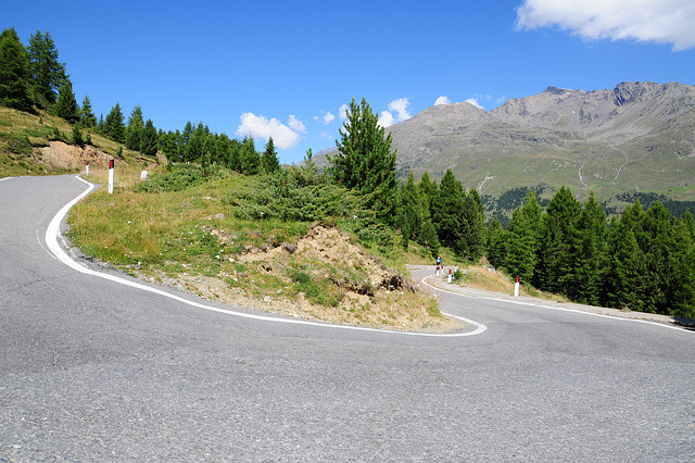 Going down the Gavia Pass