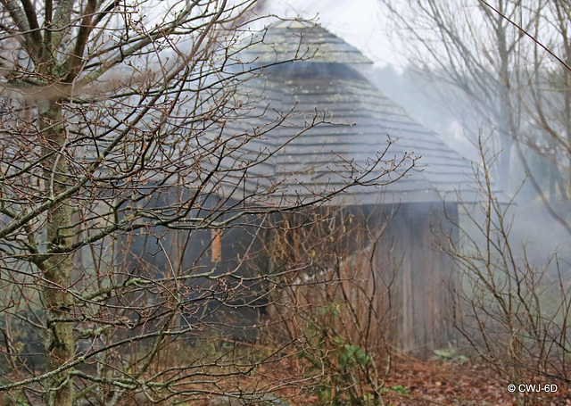 When lighting a fire - don't use damp wood!