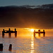 Lepe Dolphins sunrise 3