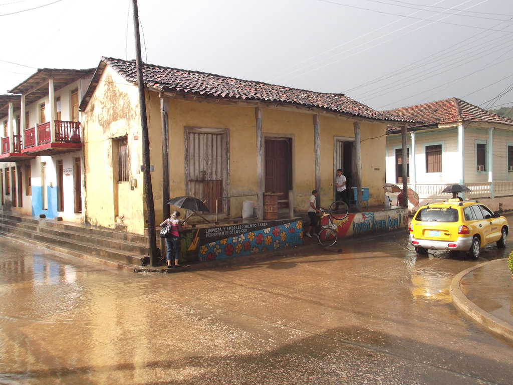 Morning rain / Pluie matinale.