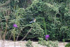 Zip lining through the flowers