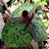 Trillium