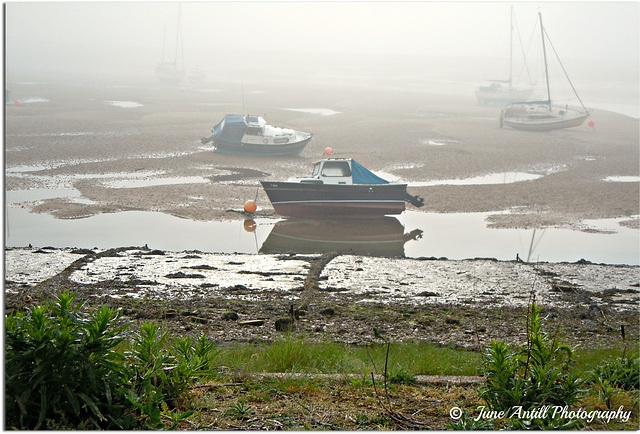 Stranded on the ebb tide