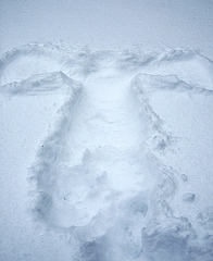 Snow Angel