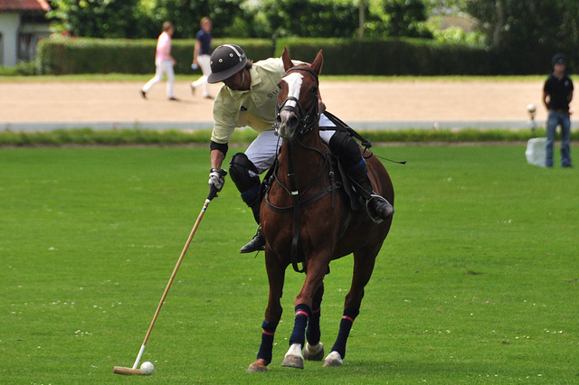 Polo in six seconds