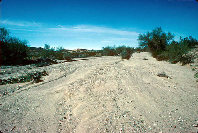 05-braided_channel_lk_havasu_ig_adj2