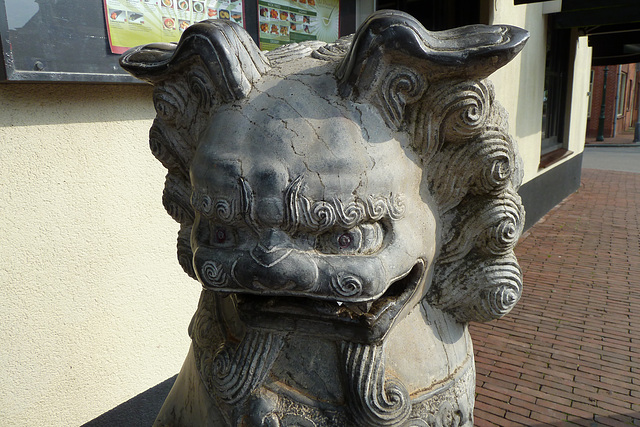 Enkhuizen – Dragon