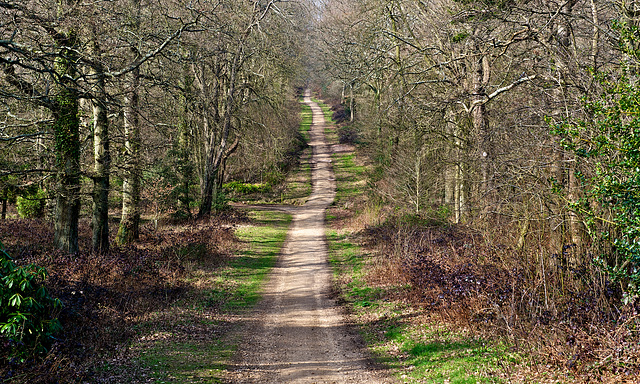 Vanishing point