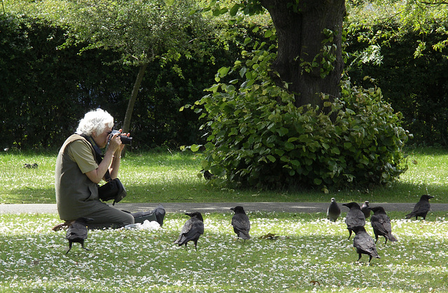 Crow lady 2