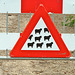 Watch out for Sheep