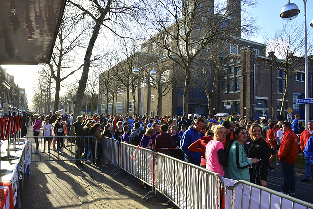 Singelloop 2013 – Before the start