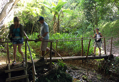 Rickety rackety bridge