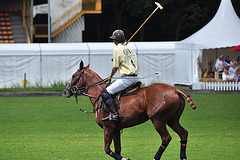 Polo tournament