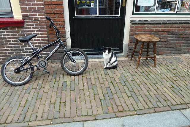 Enkhuizen – Bike, cat and stool