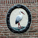Enkhuizen – Gable stone Stork