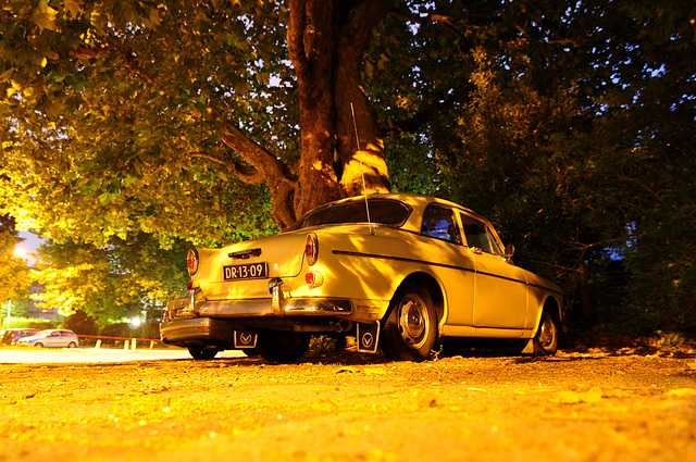 Volvo under a tree