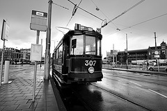 Amsterdam tram 307 in B/W