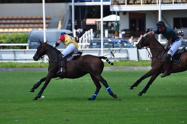 Polo tournament at Duindigt Hippodrome