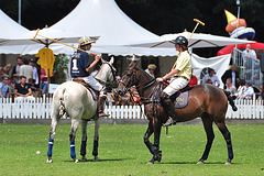 Polo tournament