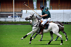 Polo tournament