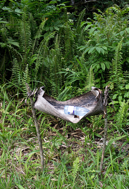 A jungle rubbish-bin