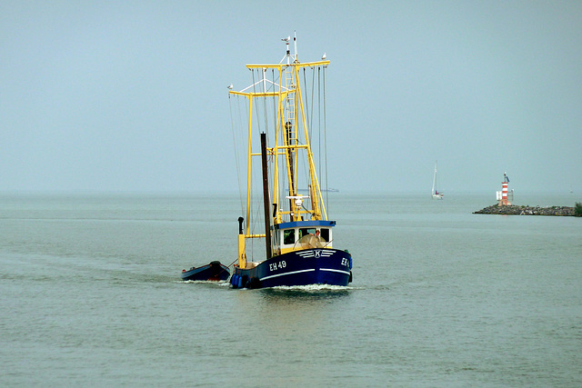 Enkhuizen – Fishing ship EH-49