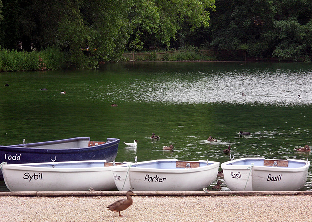 Fawlty boats