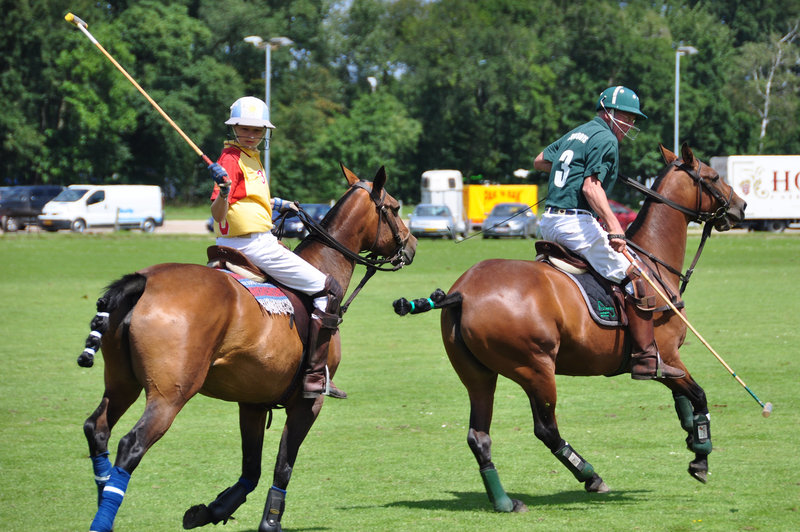 Polo tournament