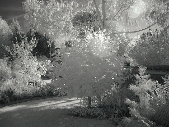 Garden infra-red