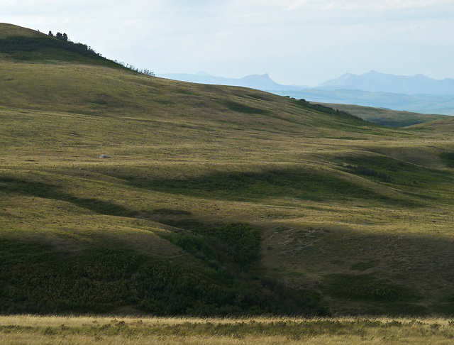 Rolling in the Porcupine Hills