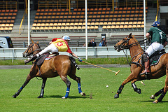 Polo tournament at Duindigt Hippodrome