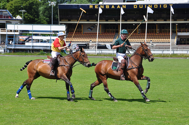 Polo tournament