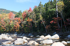 Swift River