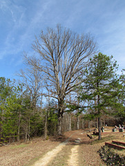 Cemetery Road