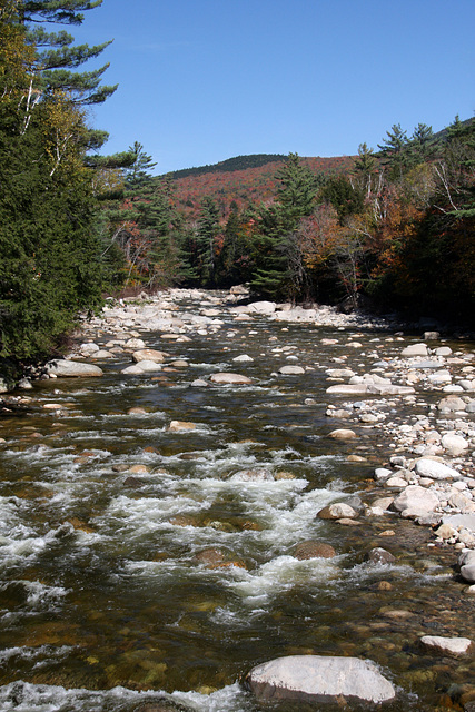 Swift River