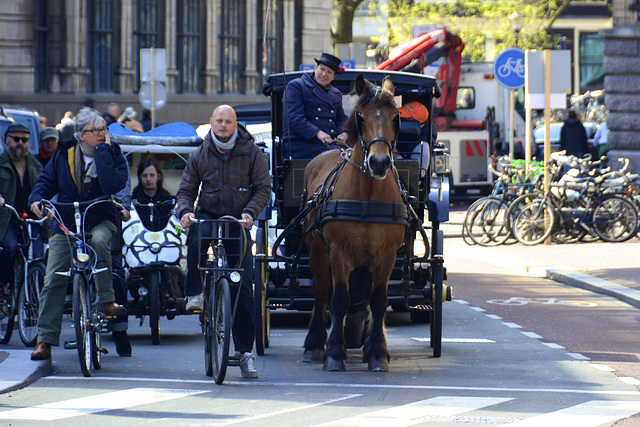 Transport in Amsterdam