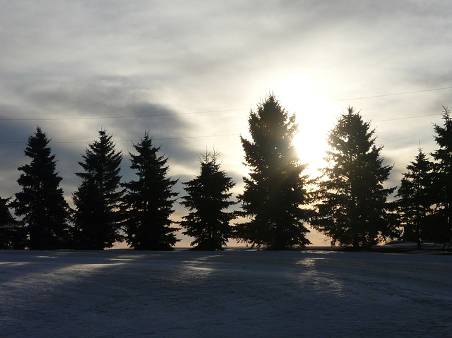 Sunrise silhouettes