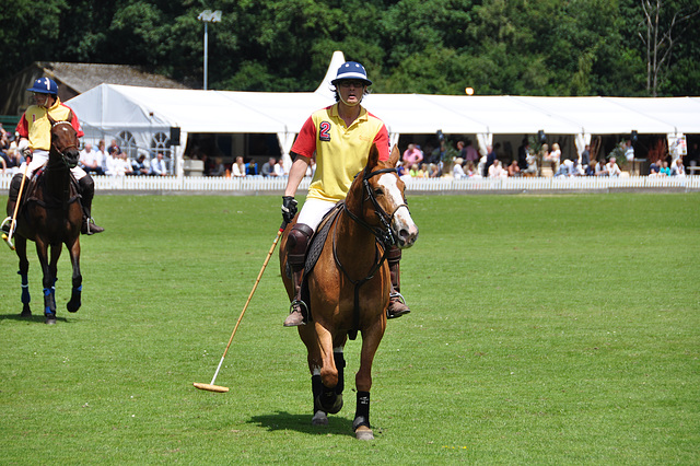 Polo tournament