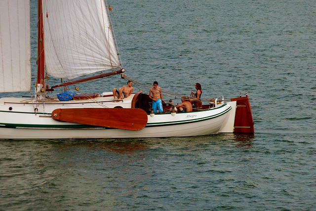 Sailing ship Allegro on the IJsselmeer