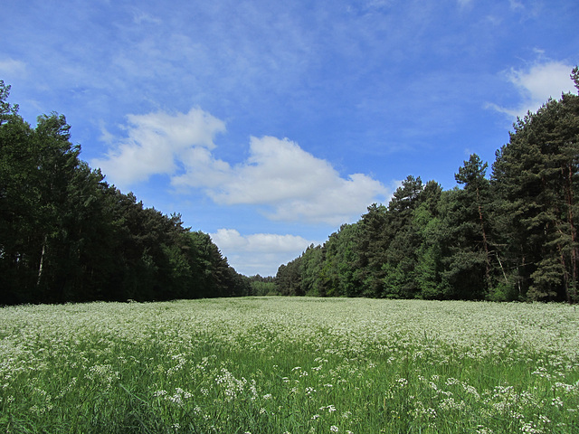 eine Idee von Sommer!