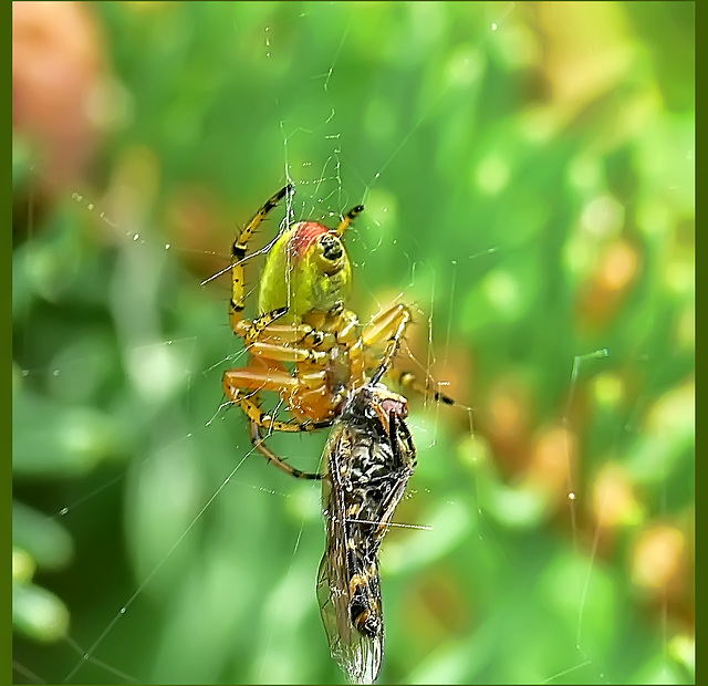 Preparing.............